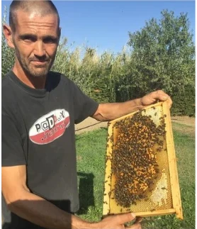 Jérôme, producteur de miel